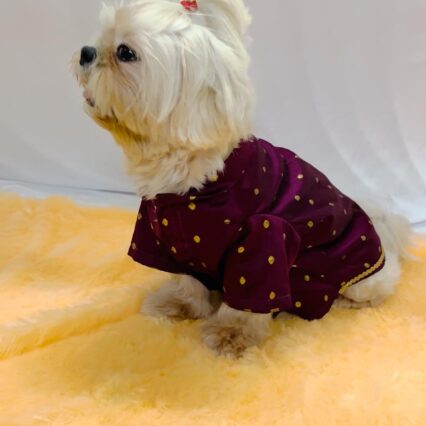 Twinkle Tail Festive Kurta