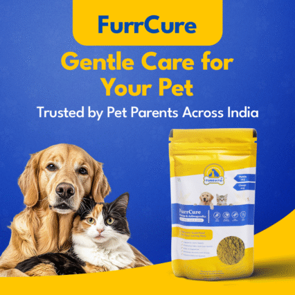 FurrCure Hemp & Ashwagandha Powder for Dogs & Cats(100gms) + FurrGut (Pre & Pro Biotics for Dogs & Cats - 20 Sachets)
